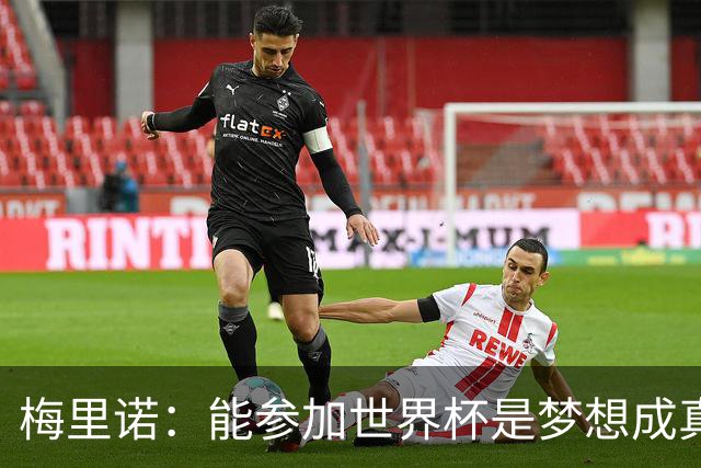 梅里诺：能参加世界杯是梦想成真，我克服了受伤的艰难时刻