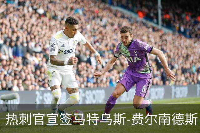 热刺官宣签马特乌斯-费尔南德斯 转会费8500万镑破纪录