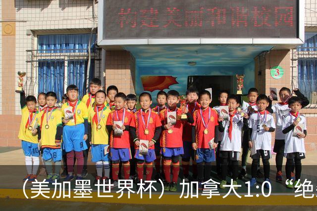 （美加墨世界杯）加拿大1:0“绝杀”南非 队史首进16强